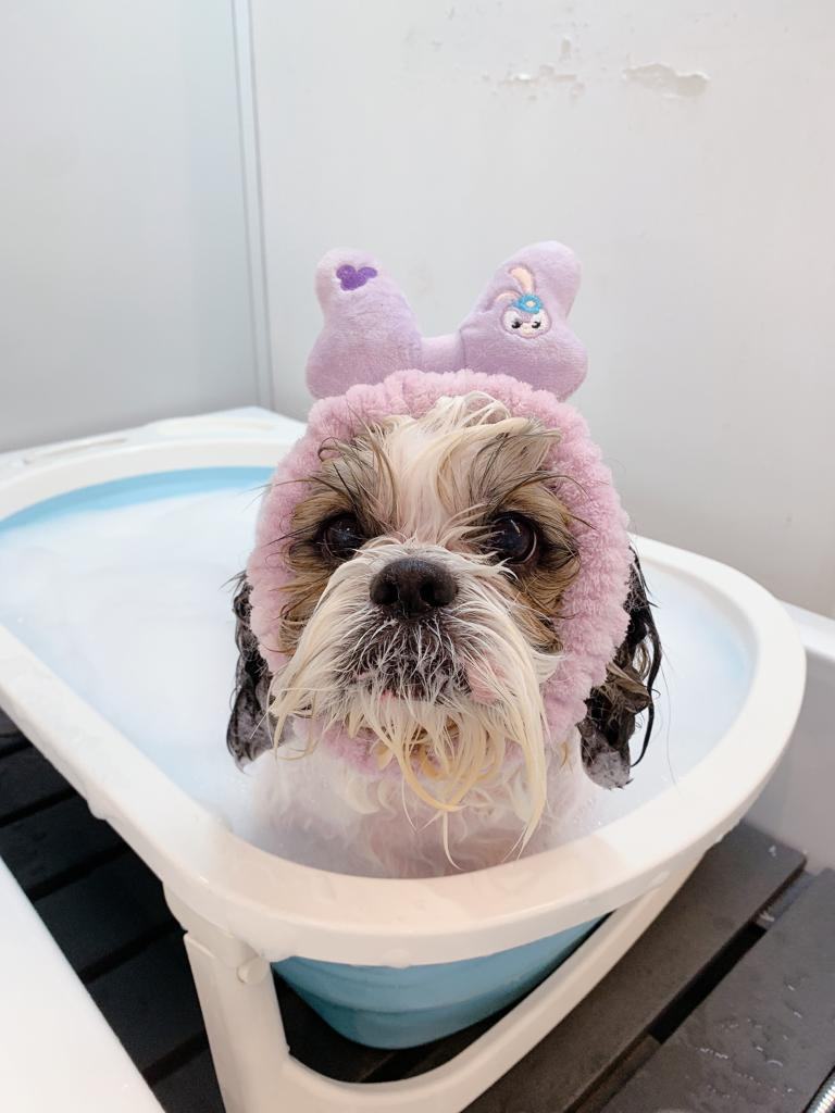 Pawfield Spa 療程相片